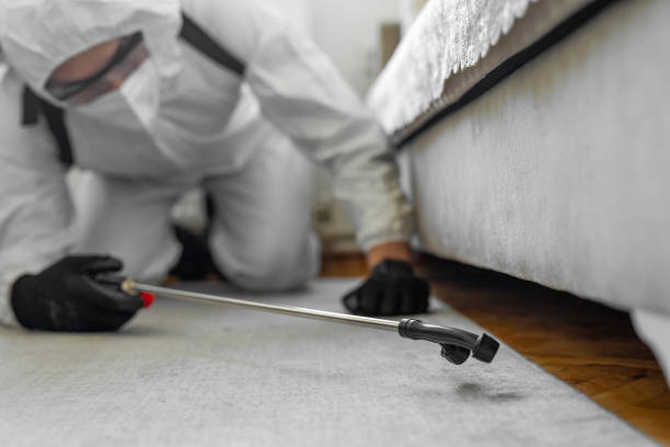 Professional Mosquito Control technician working in Lorena, TX