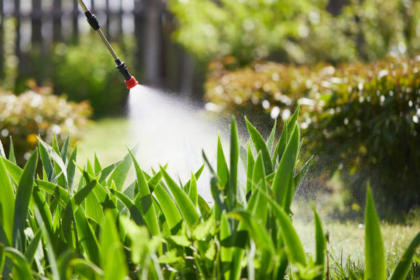 24/7 Emergency Mosquito Control experts in Lorena, TX
