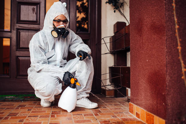 Reliable Mosquito Control contractor in Lorena, TX by Nex Pest Control